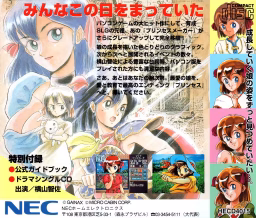 An image of Princess Maker 1 - Back Cover.