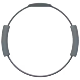 An image of Ring-Con.